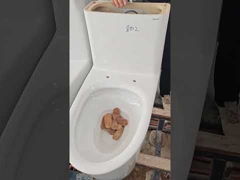 Siphonic one piece toilet flushing test  #sanitaryware #toilet #bathroom #toiletfactory