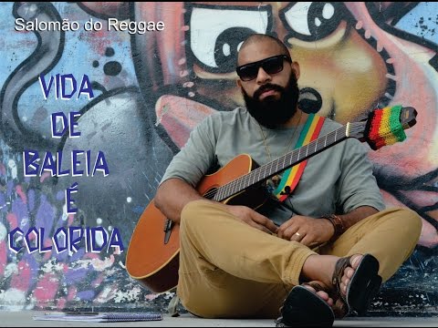 Vida De Baleia É Colorida video