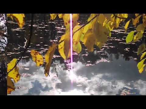 Mark Knopfler, Time Will End All Sorrow, Bonus Track, for times of war