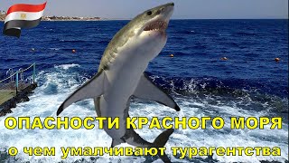 В прозрачных водах Красного моря, на прибрежных рифах, обитает масса 
разноцветной рыбьей мелочи, поэтому эти места так любят начинающие 
аквалангисты. Но некоторые крайне привлекательные жители коралловых 
рифов смертельно