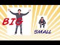 The Opposites Action And Dance Song