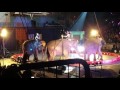 Elephants And Johnny Rockett