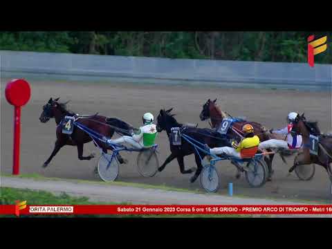 V corsa del 21 gennaio 2023  - 5 e 6 Anni -  Metri 1600 -  II Tris