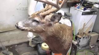 hoBRO visits a GATOR FARM !