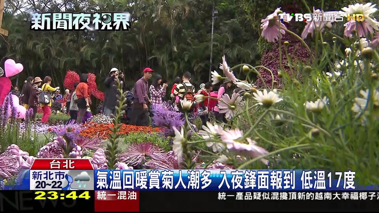 氣溫回暖賞菊人潮多 入夜鋒面報到低溫17度