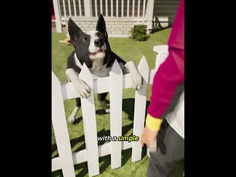 He Turned The Neighborhood Into A Fan Club 🐕🎾 #truestory
