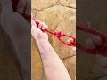 How to Tie a Non-Slip Loop Knot | Strong Fixed Loop Knot for Ropes
