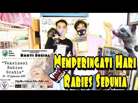 , title : 'WASPADA RABIES !! Memperingati Hari Rabies Dunia Dengan Vaksinisasi'