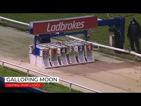 Galloping Moon - Central Park Ladies