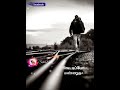 Nadanthal Irandadi ️SPB Sad Song Life Damege WhatsApp Status Tamil Chembaruthi