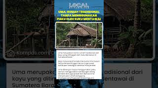 Uma Rumah Tradisional Suku Mentawai yang Jadi Pusat Kehidupan dan Identitas Masyarakat di Sumatera