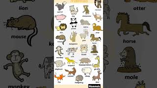 Download lagu Mammals Name in English word || #vocubulary #education mp3