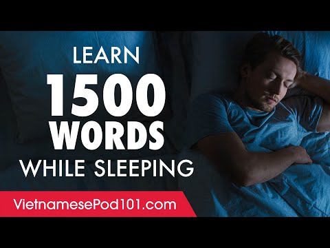 Vietnamese Conversation: Learn while you Sleep with 1500 words