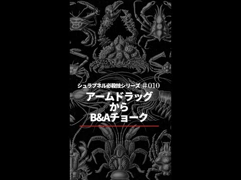 【柔術必殺技 】010  B&A Choke From Standing アームドラッグからボウアンドアローチョーク