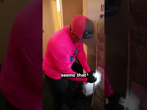 Tips for getting rid of bed bugs from a pest control expert