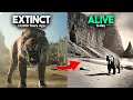 6 Extinct Animals That Might Still Be Alive