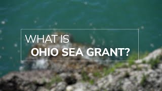 What is Ohio Sea Grant?