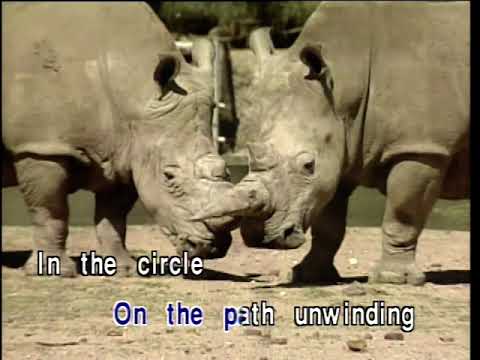 Circle of Life (cover of Elton John) - 1994 Australian Karaoke Music Video
