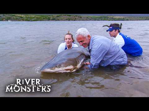 Every SCARY SHARK Encounter on River Monsters!