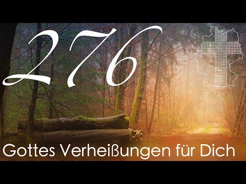 Gottes Verheißungen für Dich - Psalm 18,30 | Videokalender 276/365 - Deutschland braucht JESUS