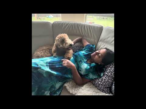 Honey pooped and she is in trouble