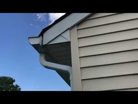 Raccoon Rents Attic in Toms River, NJ