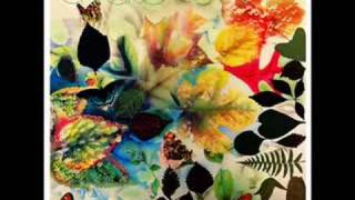 Rosinha de Valença - Os Grilos São Astros