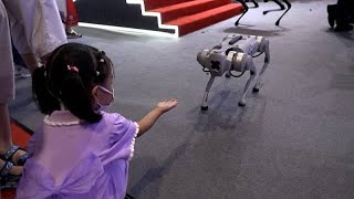 Highlights of the annual World Robot Conference in Beijing.