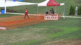 Windy Ridge Endo Parson Russell  Steeplechase finals Purina Farms 10 25 15 mp4