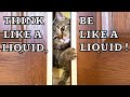 Cats Are Liquid 2 Go Through The Wall