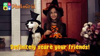 PG EN AI Replace 240909 小狗换头 视频 16：9