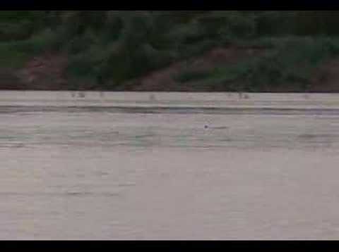 Kair Hong Hoi Jao Fa-Ngum