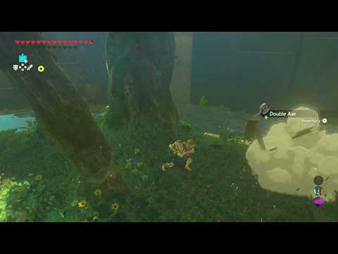 Breath of the Wild - Final Trials - Floor 6