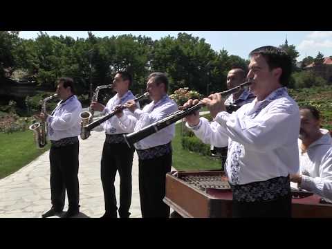 Ramona si Petrica Vita - Infloreste iar bagrinu - muzica banateana