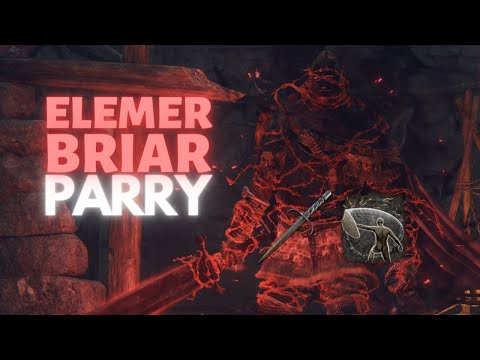 ELDEN RING - Elemer of the Briar | Dagger Parry - No Damage
