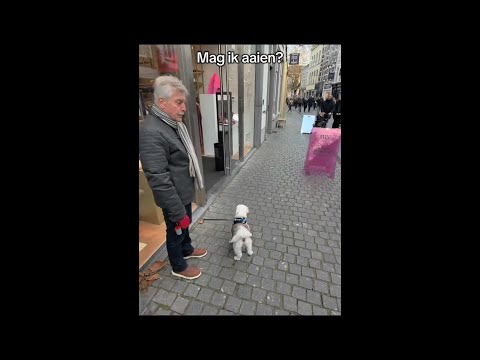 Mag ik aaien 🙂  Volg @nocapnigel