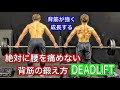 絶対に腰を痛めないデッドリフト[Deadlift]