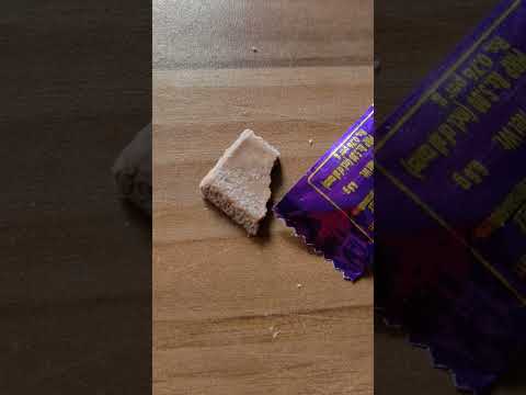 Fungus in Dairy milk chocolate #dairymilkchocolates#cadburydairymilkchocolate#foodcorporationofindia