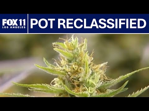Marijuana downgraded to Schedule III: What this means | FOX 11 LA