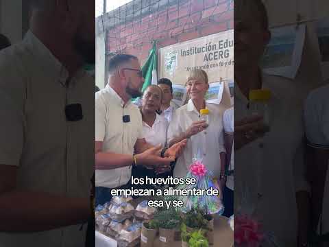 En la IE ACERG de El Dovio, el programa “La Mosca Soldado Negra” promueve la economía circular.