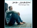 Jack Johnson ~ Better Together (Acoustic Version ...