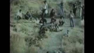 aqui no sera! en el salbronx