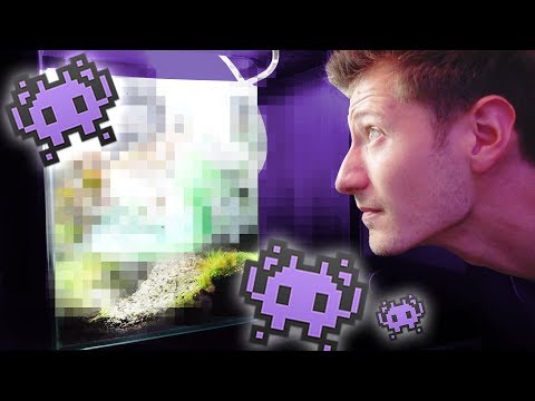 The UFO Aquarium is finished!