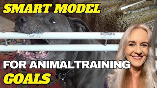 Using the SMART Model to Set and Achieve your Animal Training Goals