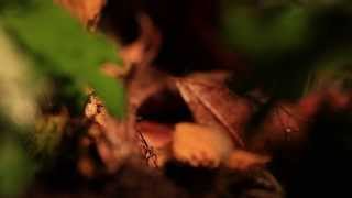 Video:  Geoenvironmental Research Centre