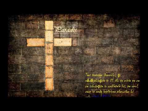 Paradis-Pleaca ti urechea