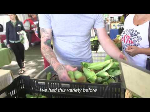 download lagu mp3 mp4 Cheap Produce Portland, download lagu Cheap Produce Portland gratis, unduh video klip Cheap Produce Portland