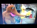 Sesame Street Cartoon Season 0 Pilot 1993 End Credits