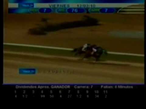 Resumen Viernes 12 de Febrero 2010 - Valencia