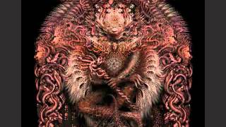Meshuggah -- The Demons Name is Surveillance